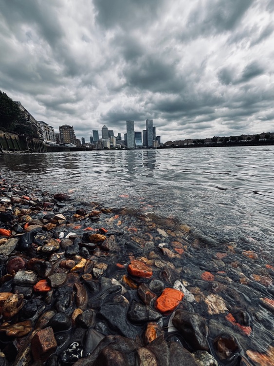A photo of Stepney Beach