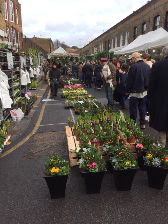 A photo of Columbia Road Shops & Flower Market