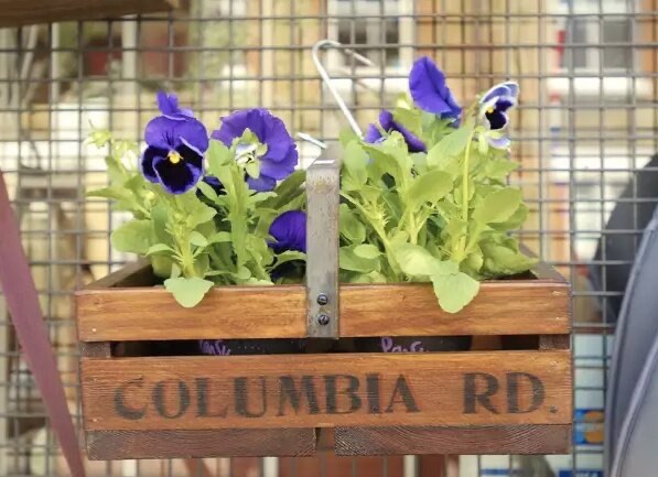 A photo of Columbia Road Shops & Flower Market