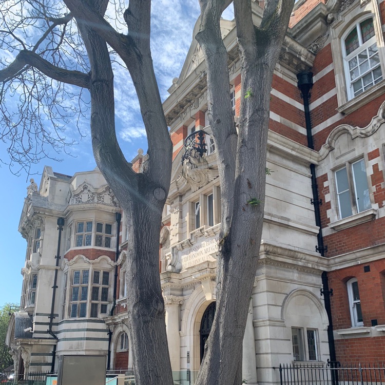 A photo of South London Gallery