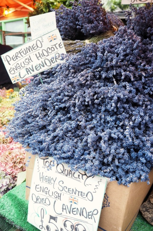 A photo of Columbia Road Shops & Flower Market