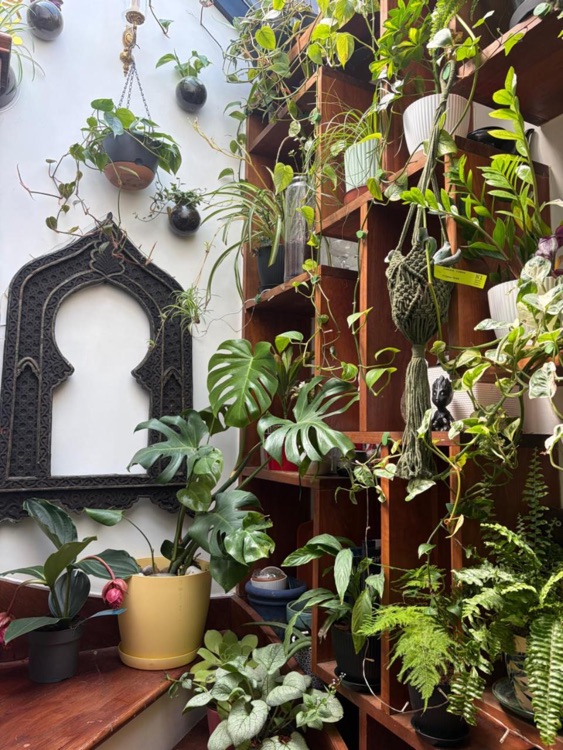 A photo of Boutique Mews House, Central London