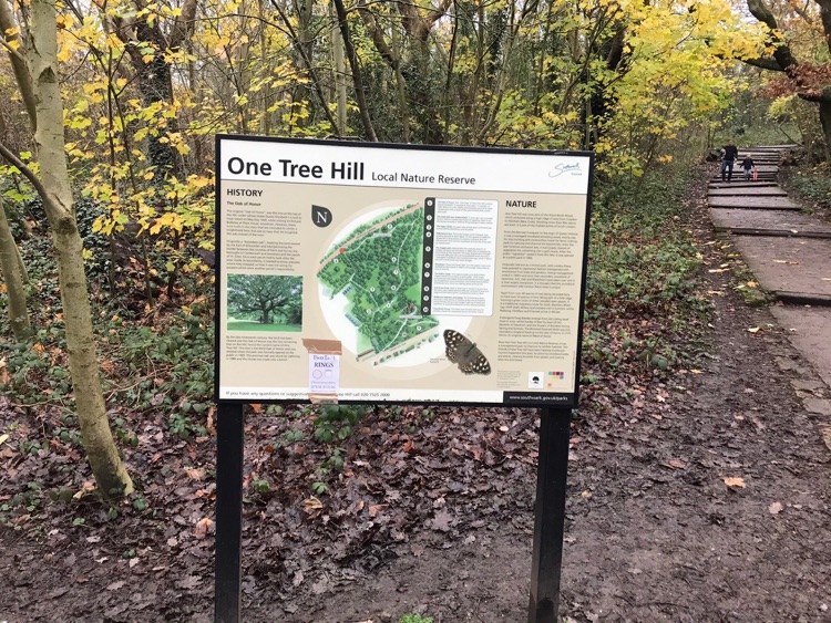 A photo of One Tree Hill