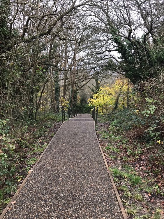 A photo of One Tree Hill