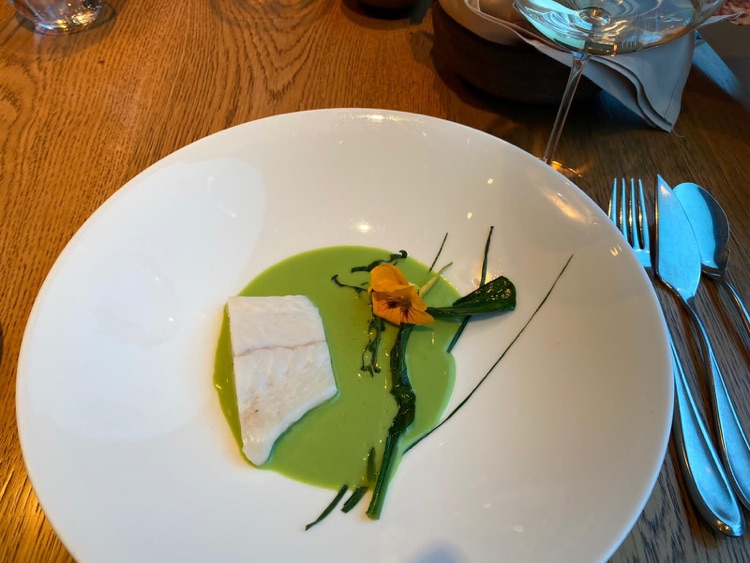 Turbot