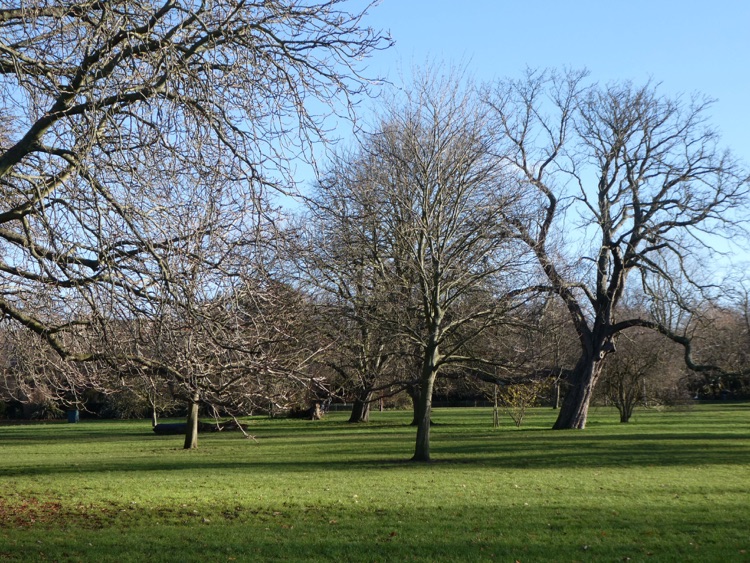 Ruskin Park, Denmark Hill, South London: pleasant green spaces
