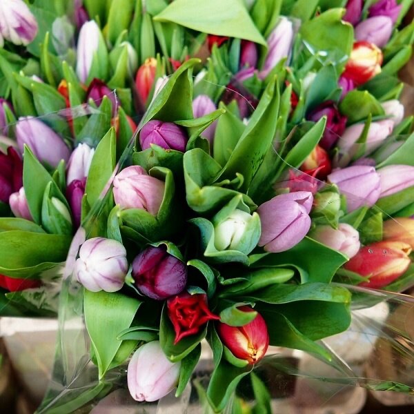 A photo of Columbia Road Shops & Flower Market