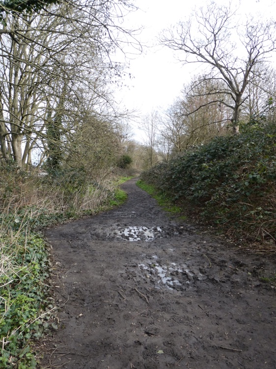 A photo of Brenchley Gardens