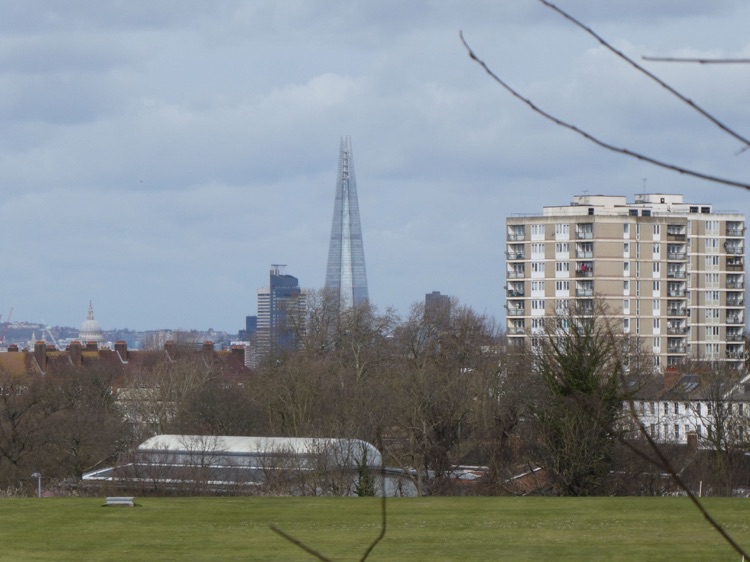 Brenchley Garden, Honor Oak, South London; The Shard from the garden