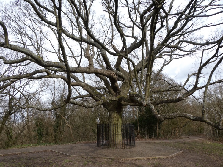 A photo of One Tree Hill