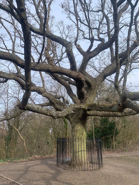 A photo of One Tree Hill