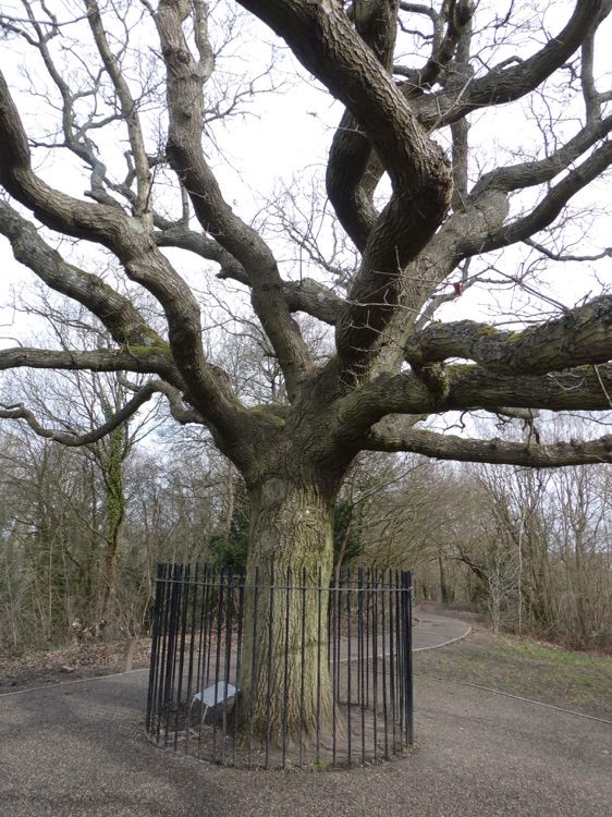 A photo of One Tree Hill