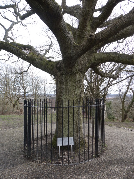 A photo of One Tree Hill