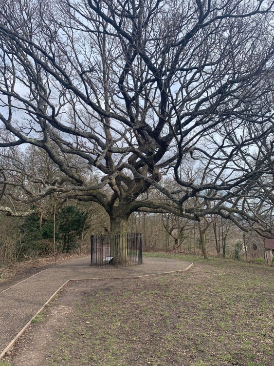 A photo of One Tree Hill