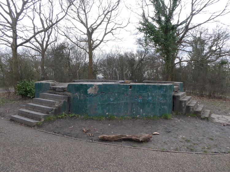 One Tree Hill Local Nature Reserve, Honor Oak, South London: the old gun platform