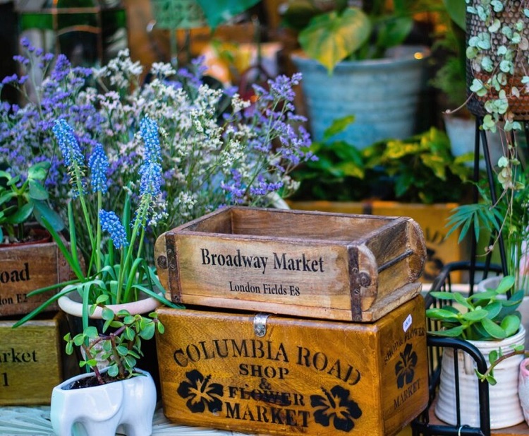A photo of Columbia Road Shops & Flower Market