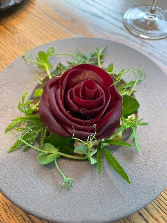 Beetroot rose with this morning’s ricotta & fragrant herbs