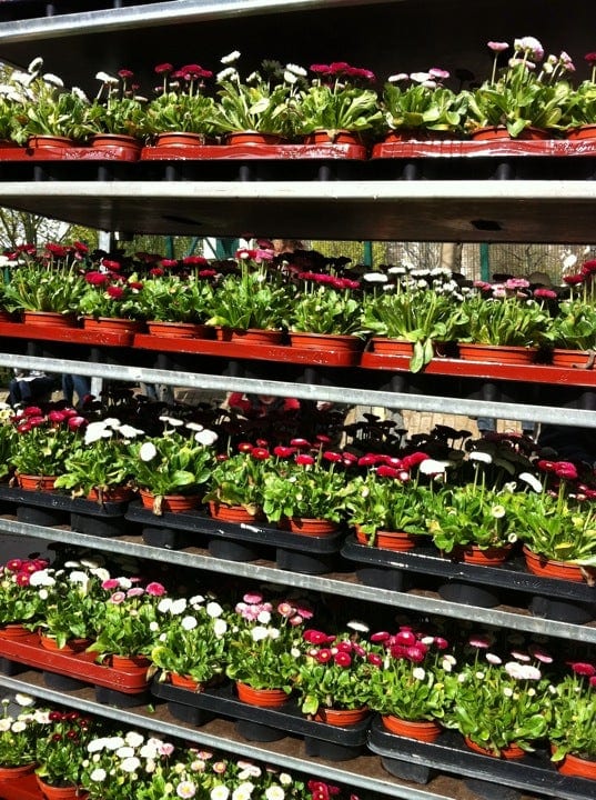 A photo of Columbia Road Shops & Flower Market
