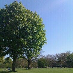 A photo of Clapham Common West Side