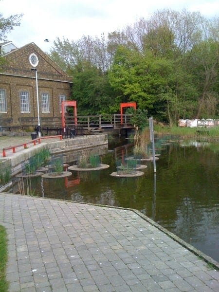 A photo of Lavender Pond Nature Park