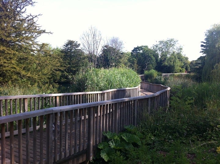 A photo of Dulwich Park