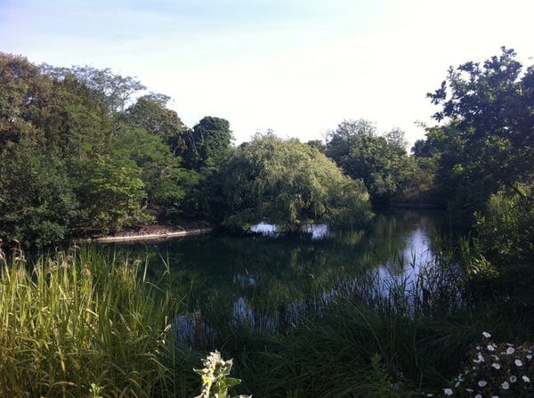 A photo of Dulwich Park