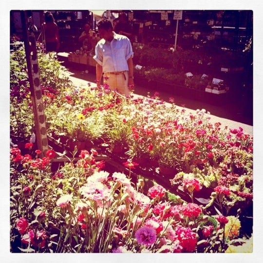 A photo of Columbia Road Shops & Flower Market