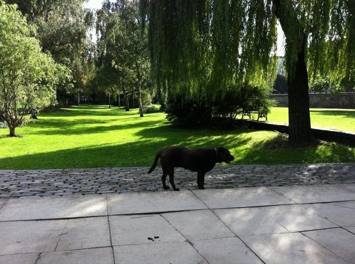 A photo of Haggerston Park