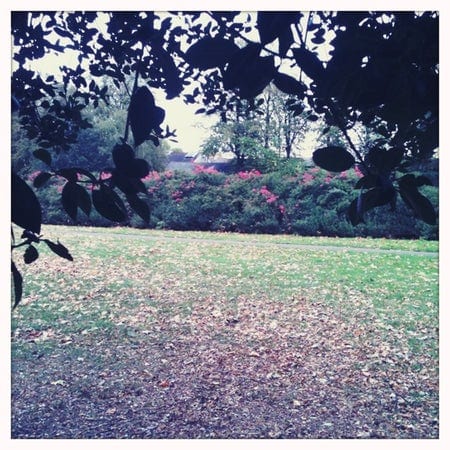 A photo of Lucas Gardens