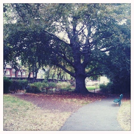 A photo of Lucas Gardens