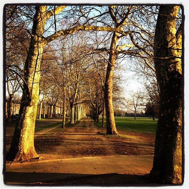 A photo of Victoria Park