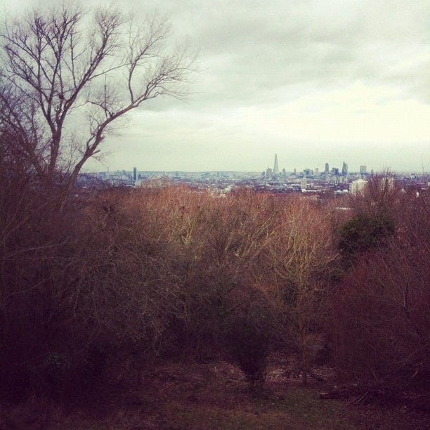 A photo of One Tree Hill
