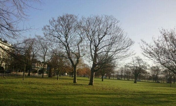 A photo of Clapham Common West Side