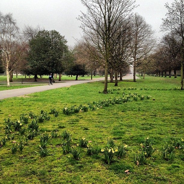 A photo of Victoria Park