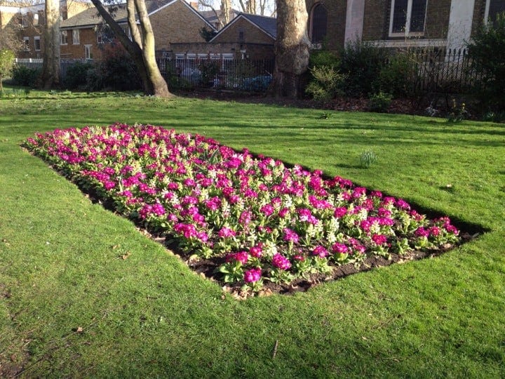 A photo of Museum Gardens