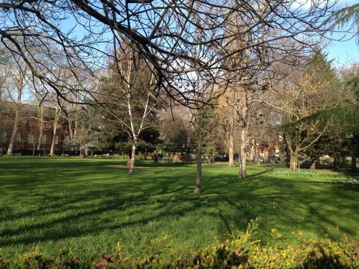 A photo of Museum Gardens