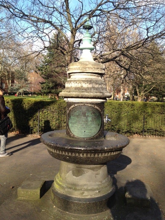 A photo of Museum Gardens