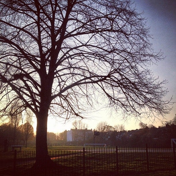 A photo of Warwick Gardens