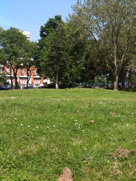 A photo of Brimmington Park