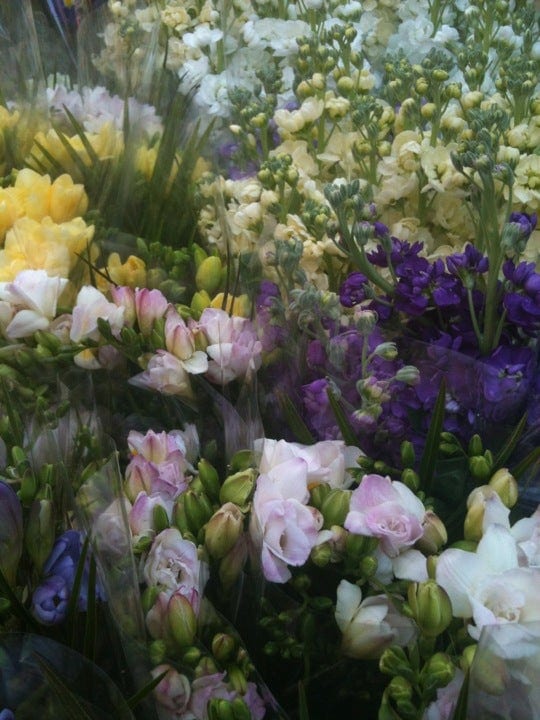 A photo of Columbia Road Shops & Flower Market