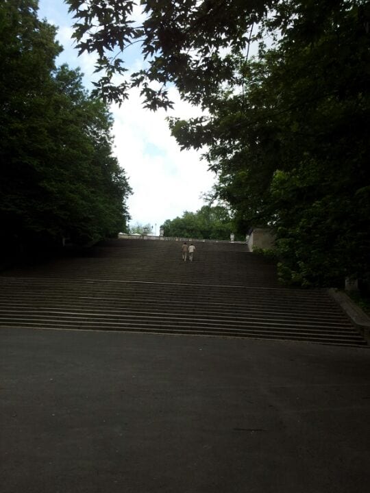 A photo of Park Marszałka Edwarda Rydza-Śmigłego