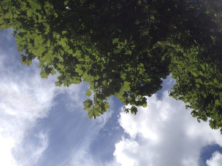 A photo of Mile End Park
