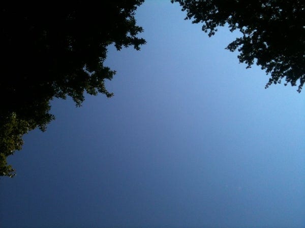 A photo of Clapham Common West Side