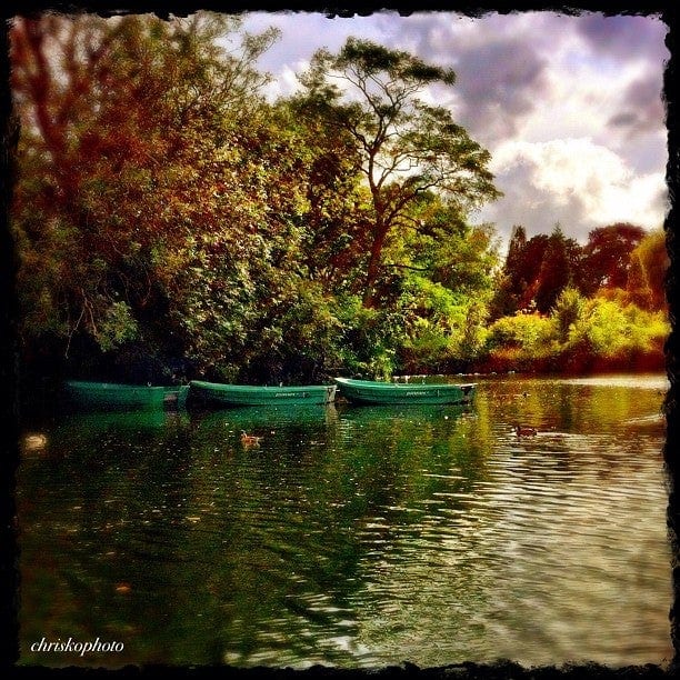 A photo of Dulwich Park