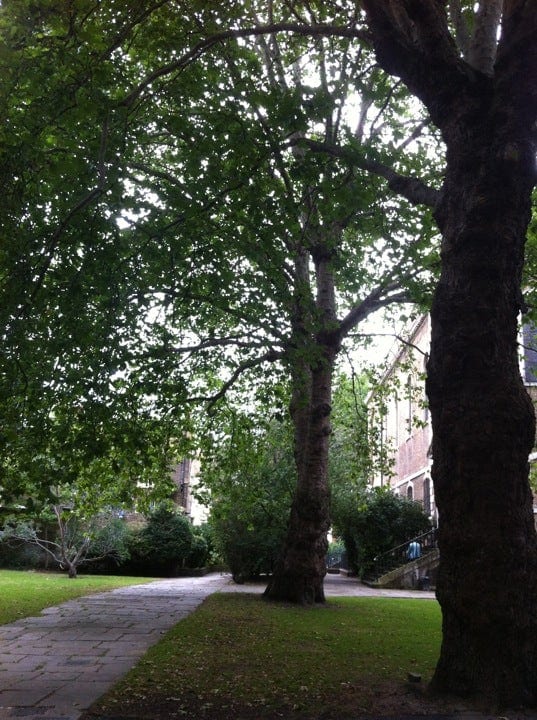 A photo of Inspire Saint James