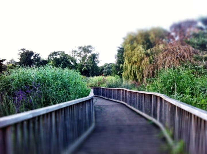 A photo of Dulwich Park