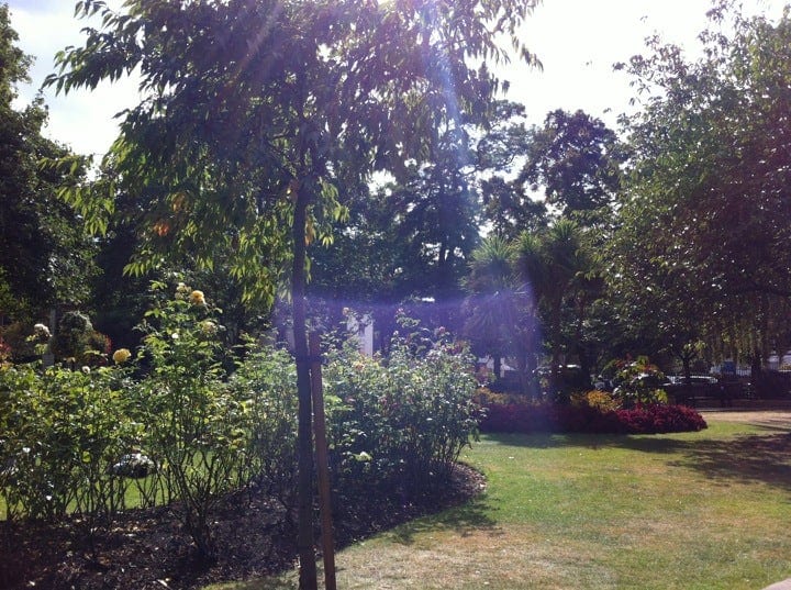 A photo of St Luke's Gardens