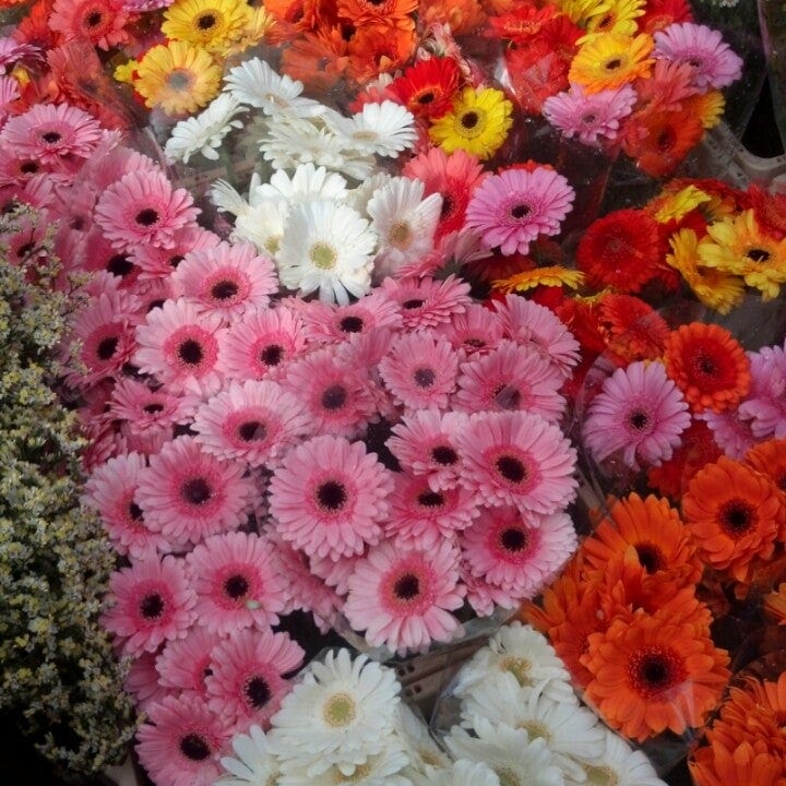 A photo of Columbia Road Shops & Flower Market