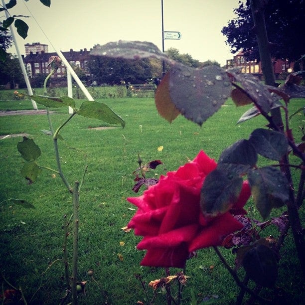 A photo of Haggerston Park