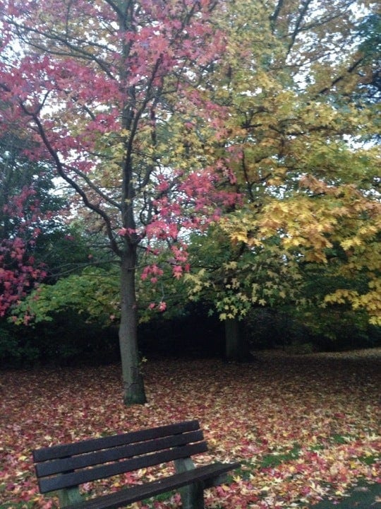 A photo of Ruskin Park